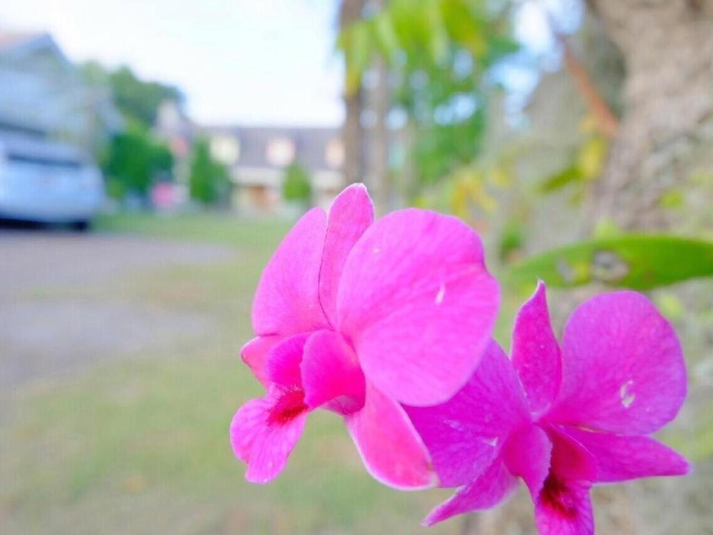Charisma Resort Suan Phueng Exterior foto